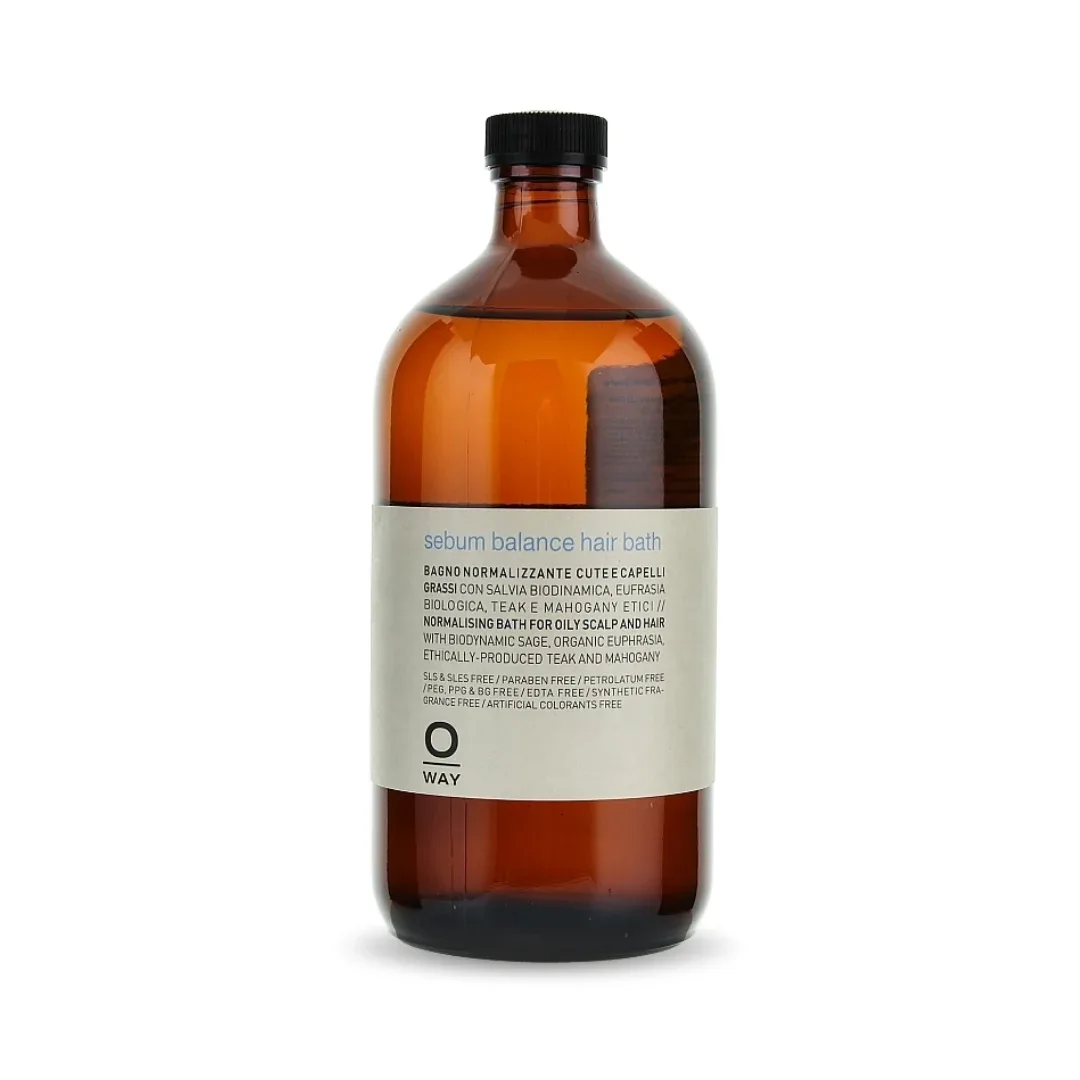REBALANCING_SEBUM_BALANCE_HAIR_BATH_950ml Sebum balance hair bath 950ml - Image 1